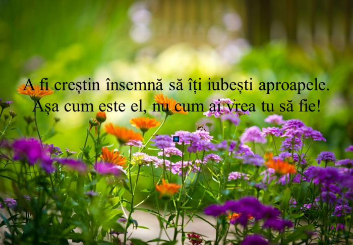 Creștinismul este despre acceptare și iubire în diversitatea pe care însuși Dumnezeu a creat-o