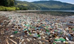 Deneş: Asistăm neputincioşi şi nemulţumiţi la râurile de gunoaie care sufocă apa, distrug localităţi, ucid animalele