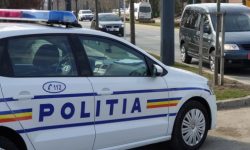 Sindicatele poliţiştilor cer anchetă în privinţa adopţiei fetiţei din Baia de Aramă şi a punerii în aplicare a hotărârii