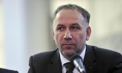 Licu, după respingerea cererii de revizuire a adopţiei: Legea mă obliga să nu stau şi să fiu spectator