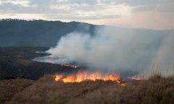 Incendiile din Amazonia: Preşedintele Bolsonaro acceptă în cele din urmă ajutorul financiar extern