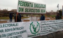 Sindicaliştii din silvicultură ies marţi în stradă pentru a protesta după valul de violenţe împotriva pădurarilor