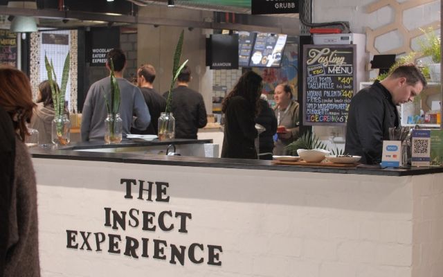 Un restaurant care serveşte exclusiv preparate din insecte, inaugurat în Cape Town