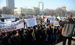 Şeful Romsilva către pădurari: ”Nimeni nu vă va apăra în pădure, sunteţi singuri”