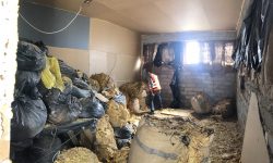 DGV: Vameşii au confiscat peste 18 tone de tutun, în valoare de 560.000 de euro