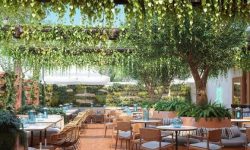 Miley Cyrus a devenit coproprietar al unei cafenele care comercializează produse pe bază de canabis