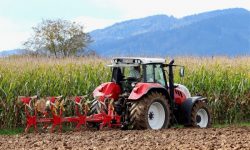 Teodorovici propune achiziţionarea de către stat a recoltelor de cereale obţinute de fermierii români “la un preţ corect”