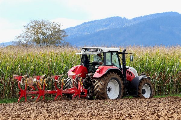 Teodorovici propune achiziţionarea de către stat a recoltelor de cereale obţinute de fermierii români “la un preţ corect”