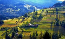 Patronatele din turism cer Guvernului să înfiinţeze Autoritatea Naţională pentru Turism (ANT)