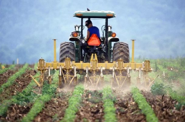 Ministrul Agriculturii: Tinerii fermieri vor beneficia, în premieră, de terenuri concesionate de la ADS în suprafaţă de 50 de hectare