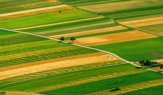 Ministrul Oros: Alocăm terenuri pentru tinerii fermieri