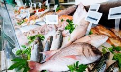Cluj: Ministerul Agriculturii va lansa un proiect de creştere a consumului de peşte