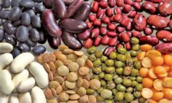 România este al şaptelea producător de leguminoase din Uniunea Europeană