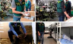 Spania: O fabrică ilegală subterană de ţigări cu profituri de 625.000 de euro pe săptămână, descoperită în provincia Malaga