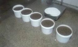 Tulcea: Peste 50 de kilograme de icre de crap – confiscate de poliţiştii de frontieră