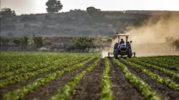 Ministrul Agriculturii: Fiecare palmă de pământ trebuie lucrată; toţi cei care sunt sănătoşi au responsabilitatea de a ieşi la câmp