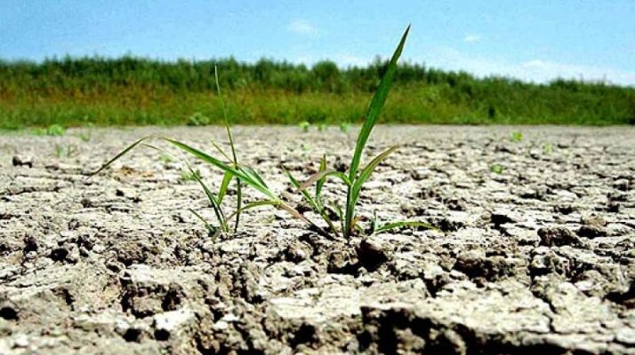 Ministrul Agriculturii: Peste 1,2 milioane hectare sunt afectate de secetă într-un grad mai mare de 30%