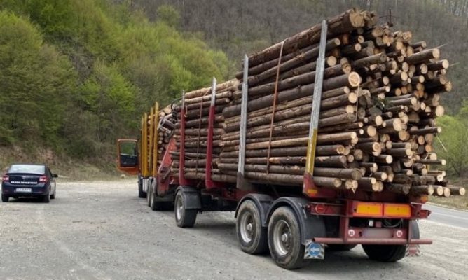 Modificări la Codul Silvic: Vehiculele utilizate pentru comiterea de infracţiuni silvice vor fi confiscate