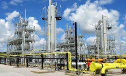 Ministrul Costel Alexe: Extinderea reţelelor de gaze naturale reduce presiunea de pe pădurile României