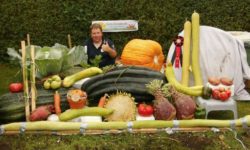 Un grădinar german a stabilit un nou record mondial după ce a cultivat legume uriaşe