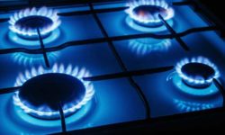 Preţul gazelor naturale în pandemie, tema principală a Forumului Gazelor Naturale