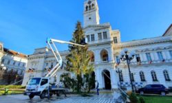 Primăria Arad a decis să schimbe bradul de Crăciun din centrul oraşului, după un val de critici