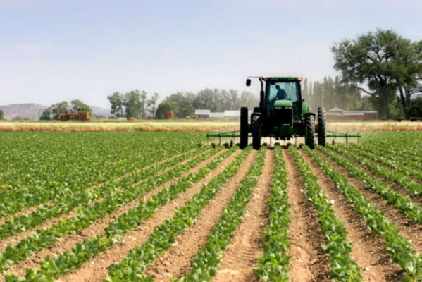 Alianţa pentru Agricultură şi Cooperare precizează că proiectul de buget al MADR nu include despăgubirile pentru culturile calamitate
