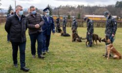 Bode: Câinii antrenaţi la Sibiu ar putea depista persoanele infectate cu SARS-CoV-2 la Aeroportul Sibiu