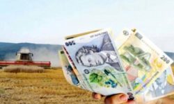 Guvernul urmează să aprobe un subprogram de sprijin pentru fermieri – Agro IMM Invest