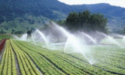 Ghinea: Săptămâna asta am primit 100 de pagini de feedback de la Comisia Europeana, pe PNRR; avem opinii diferite pe subiectul irigaţii