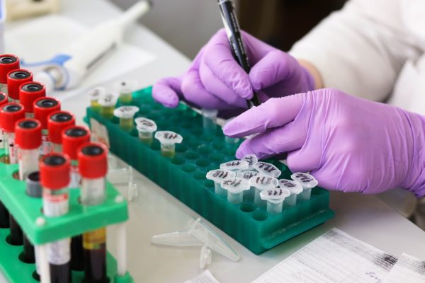 Spania anchetează un presupus caz de maltratare a animalelor într-un laborator