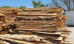 Marius Budăi anunţă un proiect de lege al PSD prin care TVA la lemne de foc să se reducă de la 19% la 9%