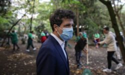 Angajaţii ALPAB fac curăţenie în Parcul Cişmigiu / Nicuşor Dan: Este un test