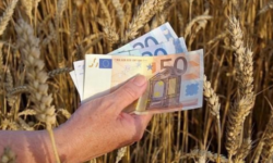 Fermierii au la dispoziţie peste 230 de milioane de euro din PNDR 2020, din 27 august