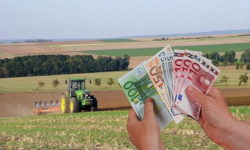 AFIR a publicat Ghidul solicitantului de accesare a fondurilor europene pentru procesarea produselor agricole