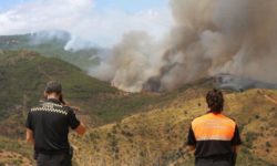 Incendii de pădure în Spania: un pompier decedat, 1.000 de persoane evacuate