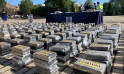 Poliţia spaniolă anunţă că a dezmembrat cea mai mare reţea de trafic de cocaină din Europa