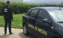 Primăria Constanţa, amendată de Garda de Mediu pentru că spaţiile verzi sunt insuficiente