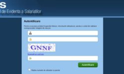 Tudorie (Inspecţia Muncii): Prin noul REGES, salariaţii vor putea verifica online datele transmise de angajatori