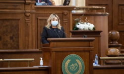 Anca Dragu: România are nevoie urgent de un guvern cu puteri depline