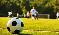 Novak: De anul viitor, Liga de aur pentru sportivi de performanţă şi finanţarea academiilor de fotbal pentru copii