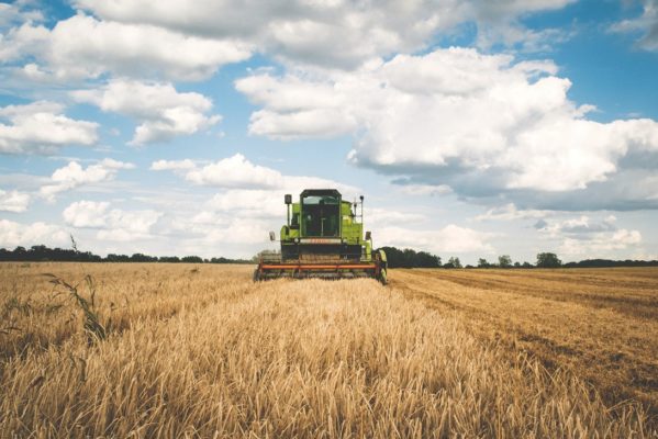 România a încasat peste 1,3 miliarde de euro din exportul de cereale în prima jumătate a acestui an