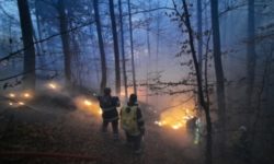 Bacău: Incendiul de la Oituz a fost stins, după 10 zile de intervenţii continue; au fost afectate 35 hectare