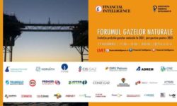 Forumul Gazelor Naturale – Evoluţia preţului în 2021, perspective pentru 2022