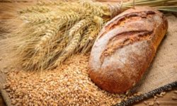 Ministrul Agriculturii caută soluţii pentru problemele industriei de morărit şi panificaţie