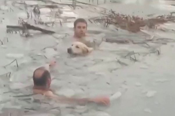 Spania: Doi poliţişti au intrat într-un rezervor cu apă îngheţată pentru a salva un câine