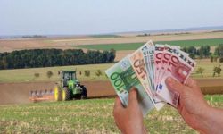 Ministrul Agriculturii anunţă marţi programele de sprijin pentru fermieri din 2022