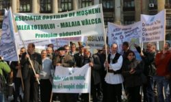 Federaţia Proprietarilor de Păduri şi Păşuni din România pichetează luni Ministerul Agriculturii