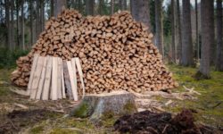 ASFOR şi BRM anunţă prima tranzacţie de lemn realizată prin sistem bursier, în România