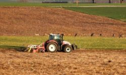 Tot mai puţini fermieri fac agricultură de performanţă în România; un sfert dintre ferme au dispărut în 10 ani (analiză)